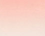 petalrose